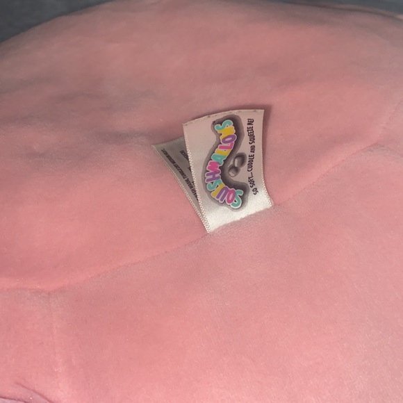 16” Squishmallow - Pink Squirrel named “Sarah.” - Picture 9 of 10